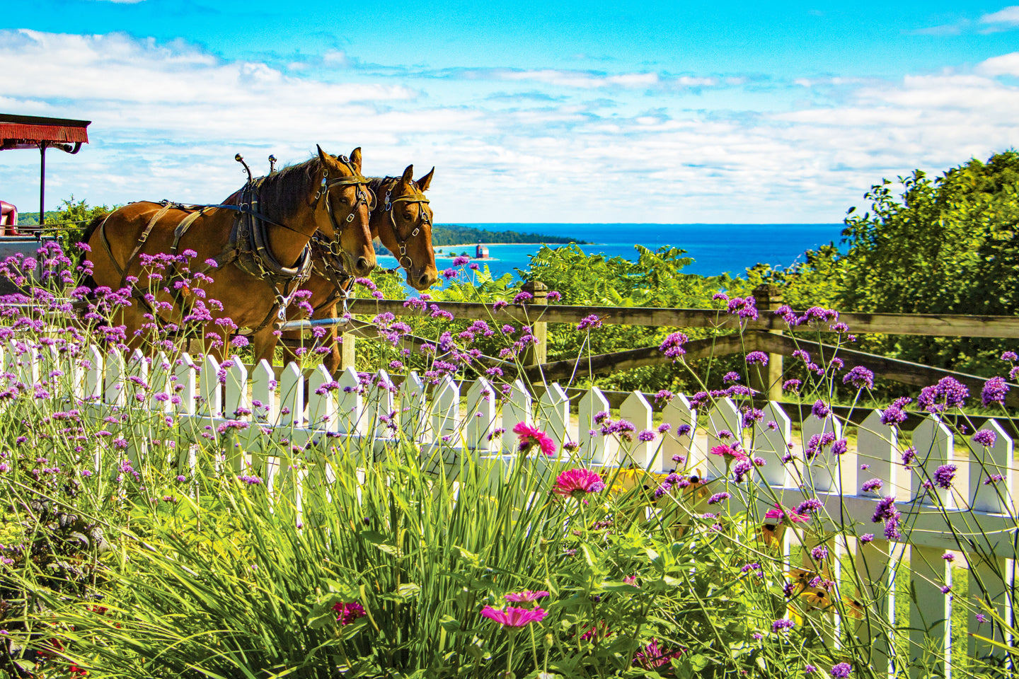 Mackinac Garden View Photograph by Jennifer Wohletz of Mackinac Memories.