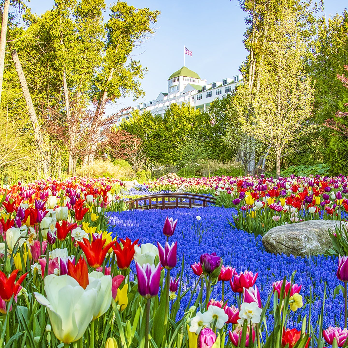 Decorate your home with Grand Hotel wall art by Jennifer Wohletz of Mackinac Memories. A river of grape hyacinths and brightly colored tulips is a cheerful feast for your senses in Grand Hotel's Secret Garden on Mackinac Island.