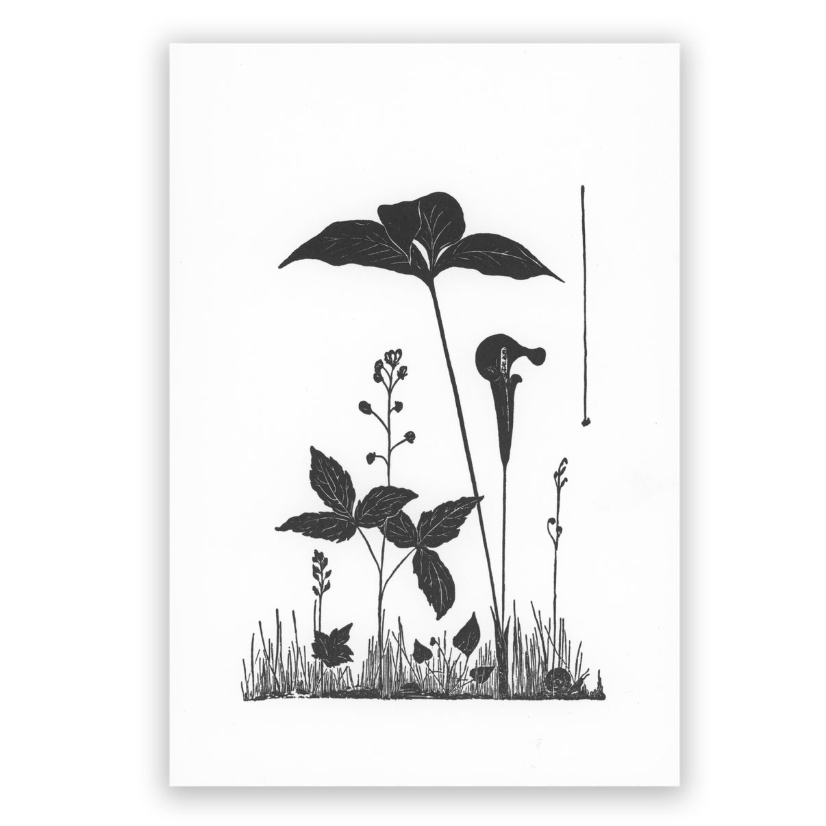 Jack in the Pulpit - Block Print