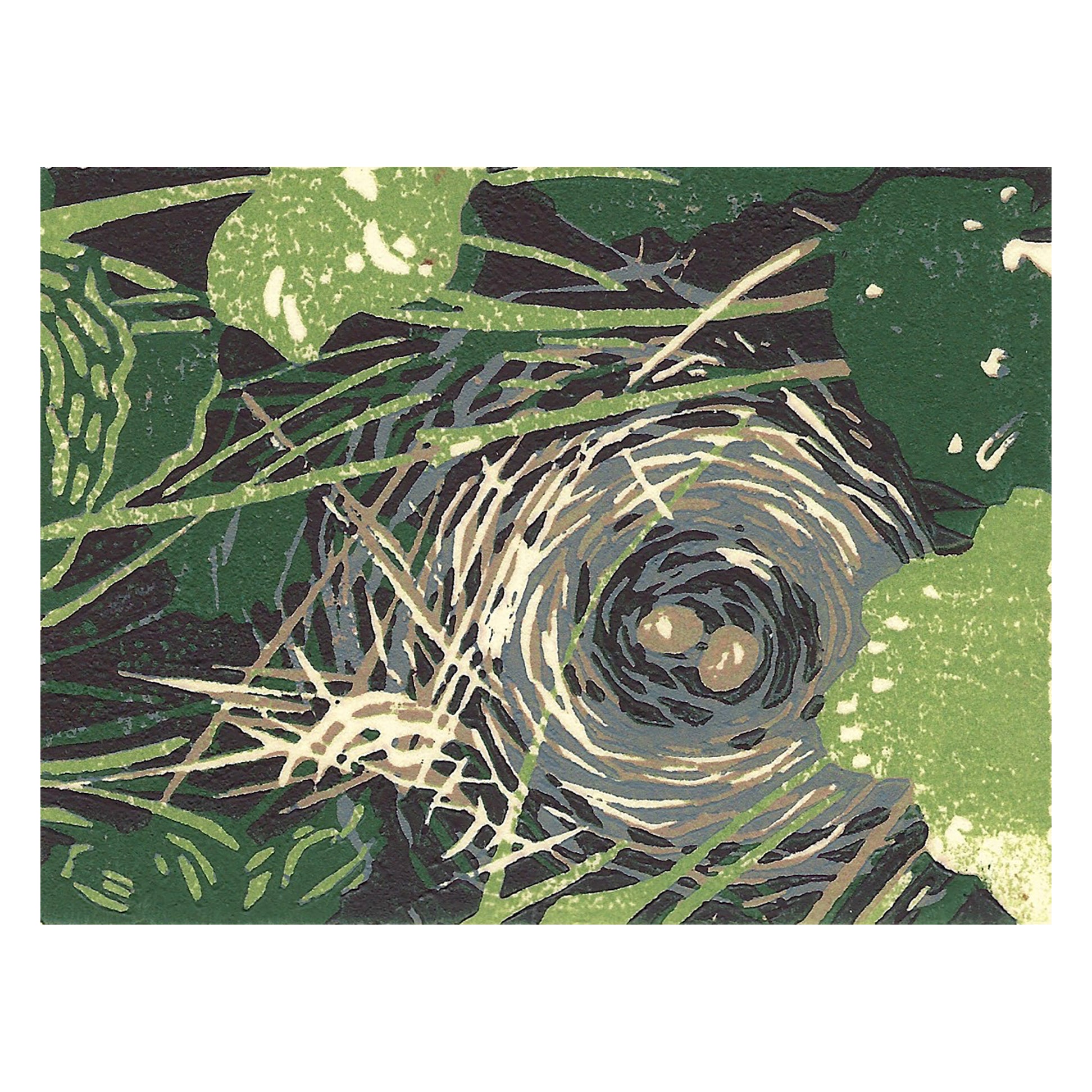 Bird's Nest Original Block Print by Natalia Wohletz of Peninsula Prints, Mackinac Island, MIchigan.