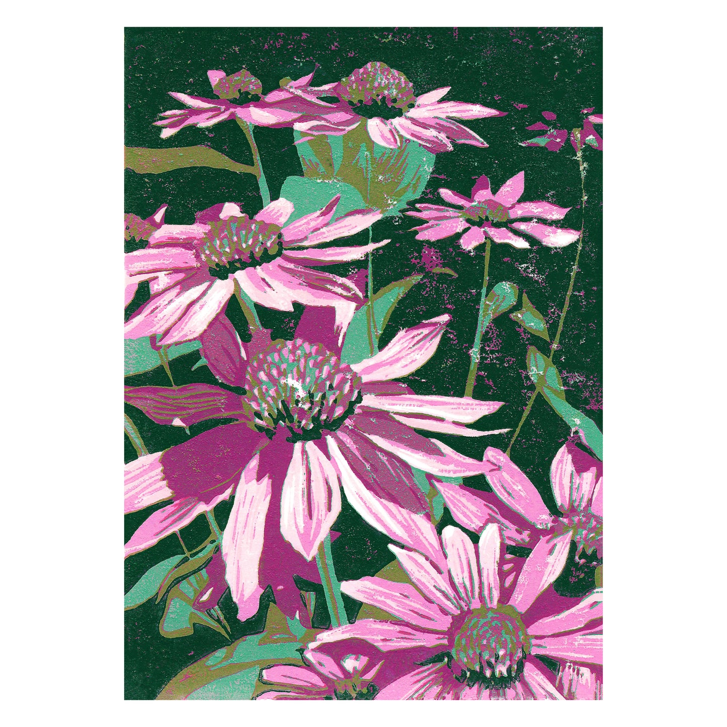 Echinacea  Original Block Print by Natalia Wohletz of Peninsula Prints, Mackinac Island, Michigan.