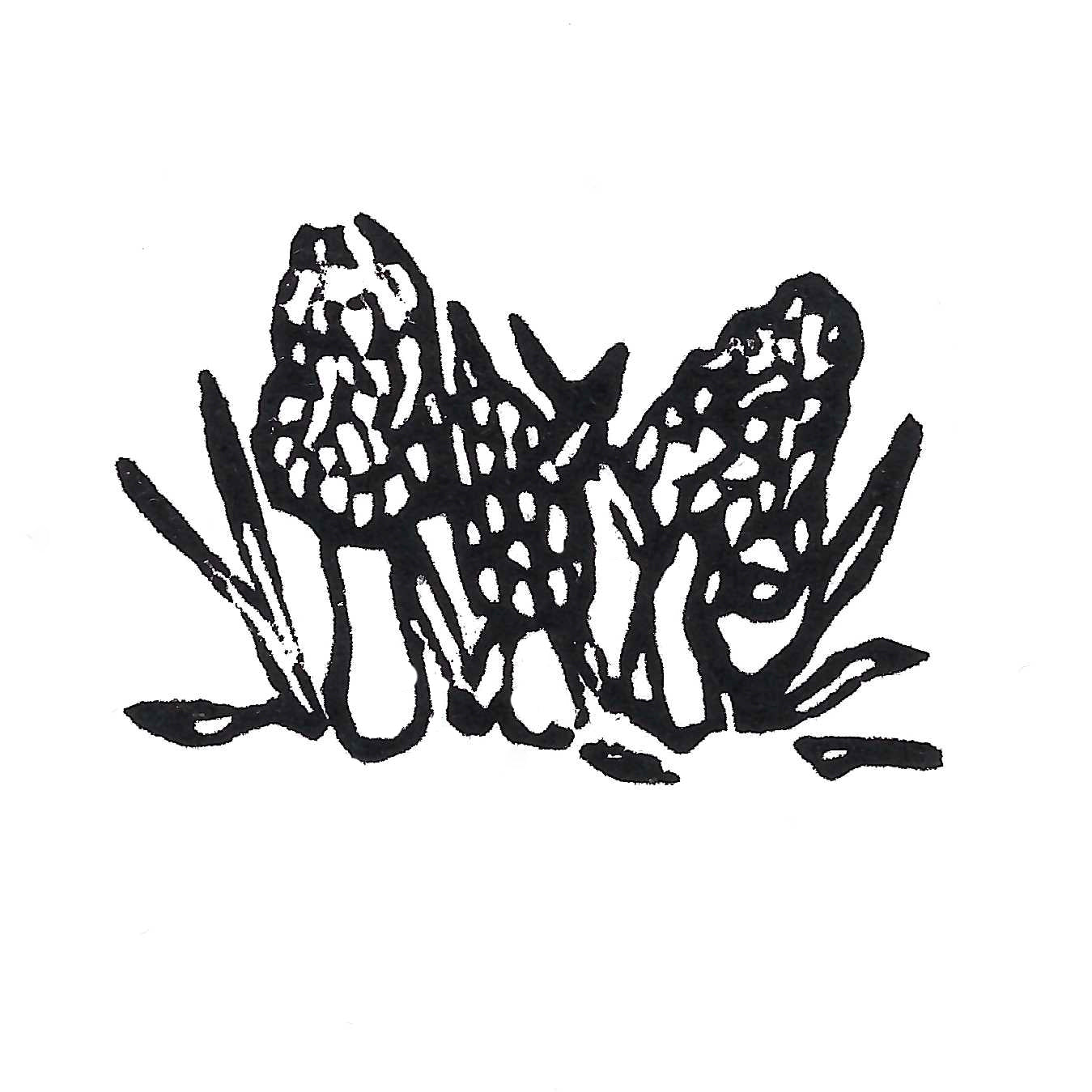 Mini Morels Original Block Print by Natalia Wohletz of Peninsula Prints.