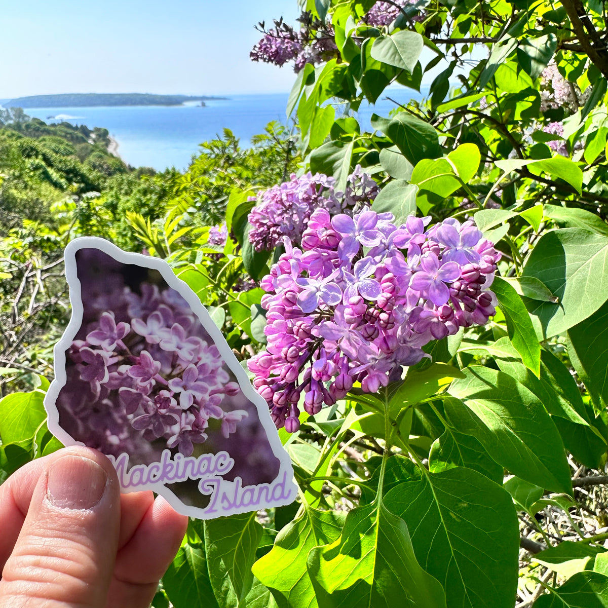 Lilacs Vinyl Sticker