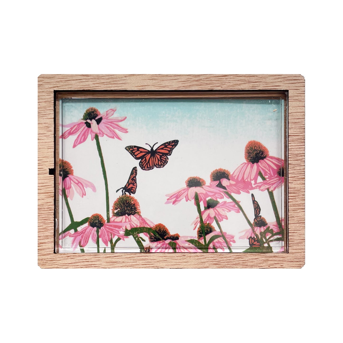 Coneflower Patch Magnet