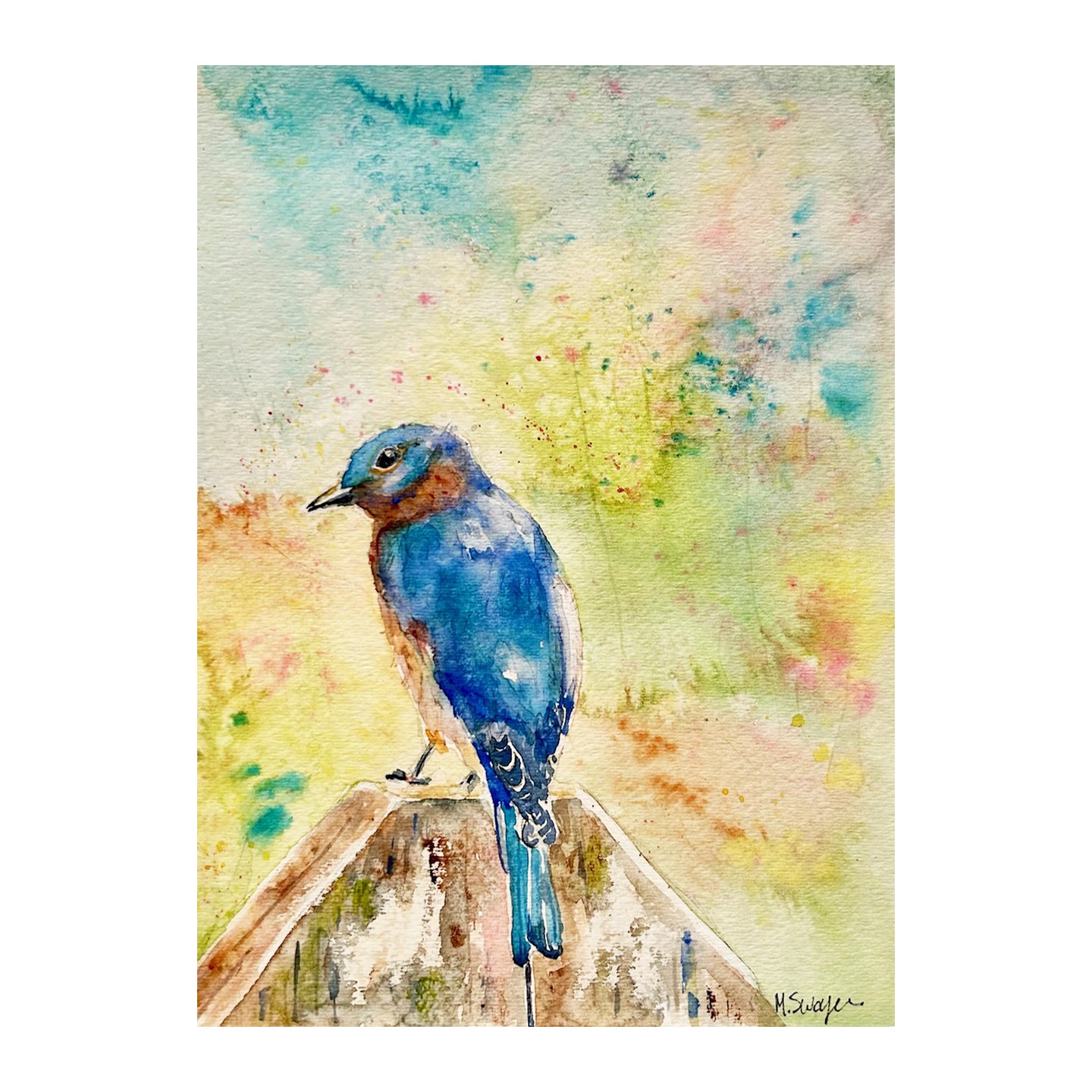 Happy Bluebird - Watercolor – Main Street Art