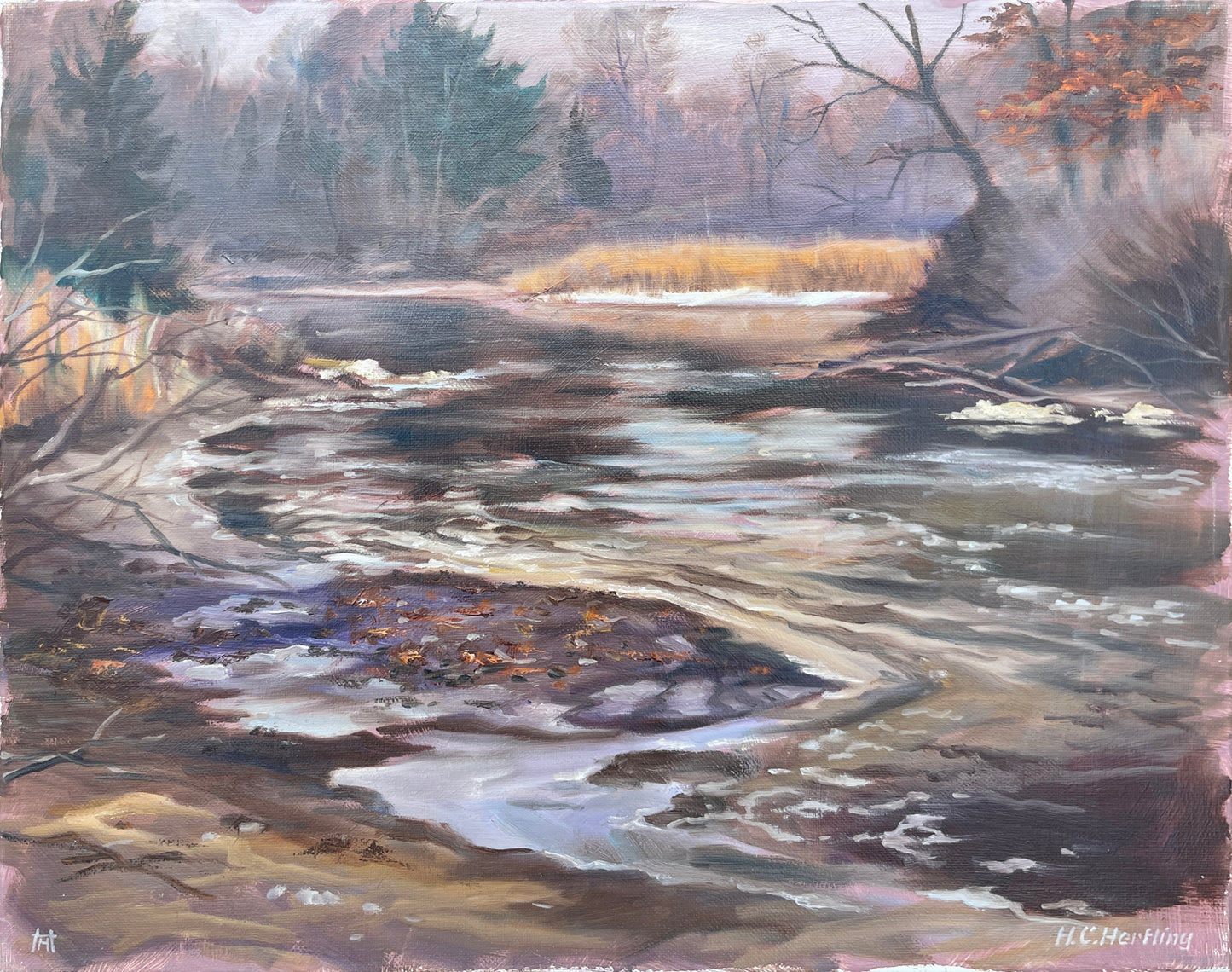 Mid-Winter Marsh - oil