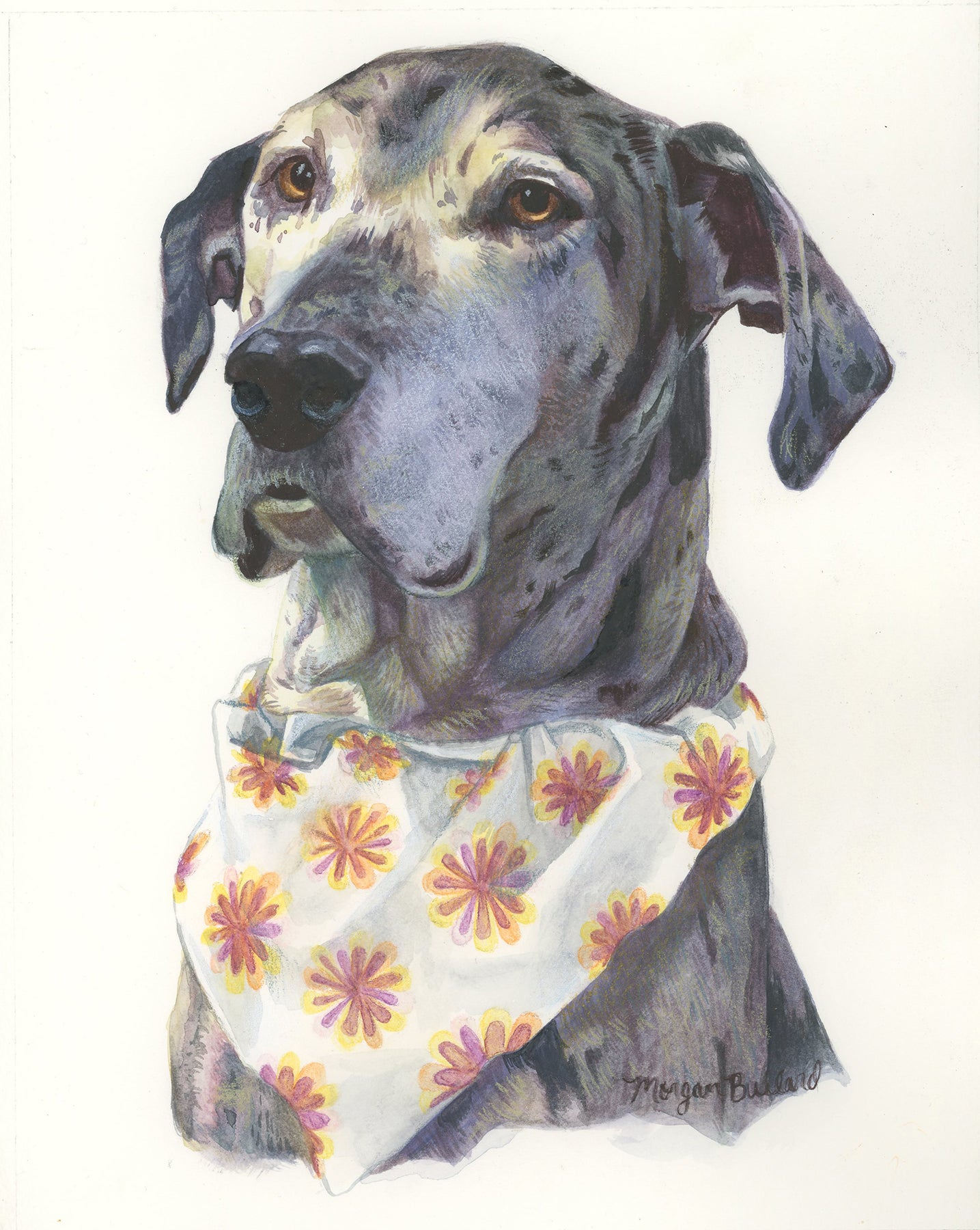 Commission a pet portrait by Morgan Bullard, a graduate of Detroit's acclaimed Center for Creative Studies.