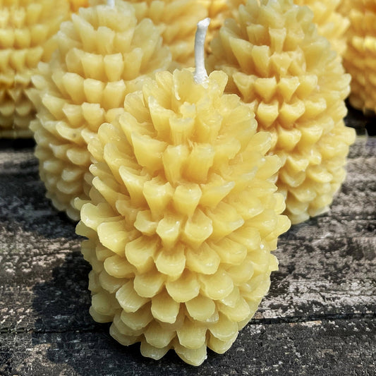 Pinecone Beeswax Candle Pair