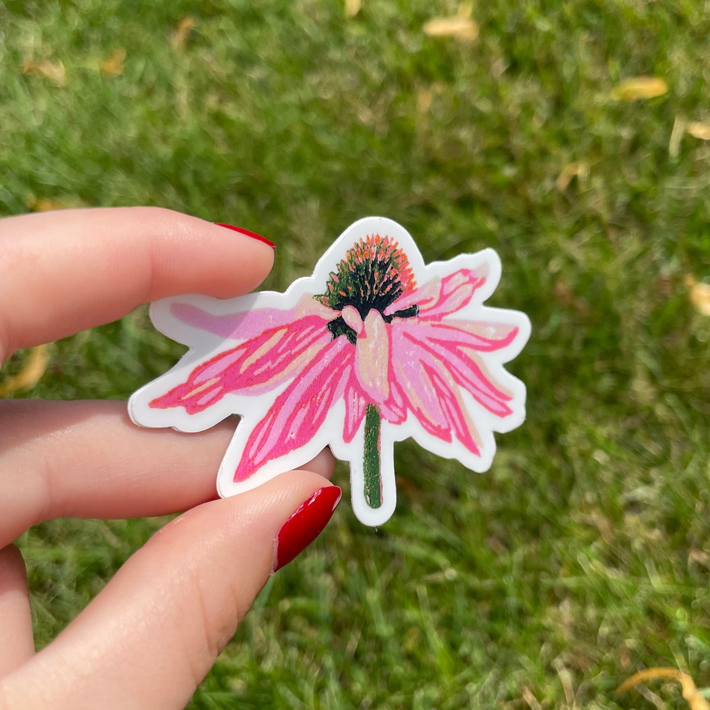 Echinacea Coneflower Vinyl Sticker