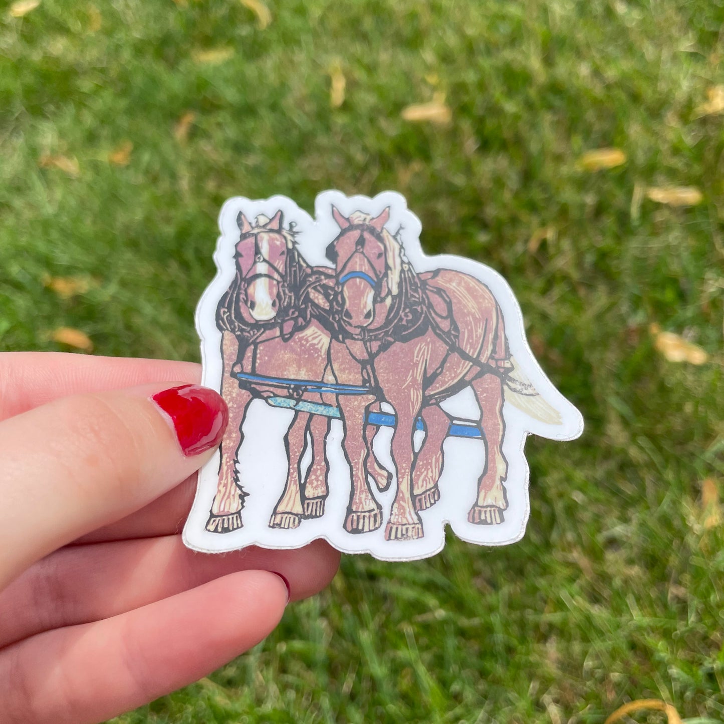 Dray Team on the Dock Vinyl Sticker