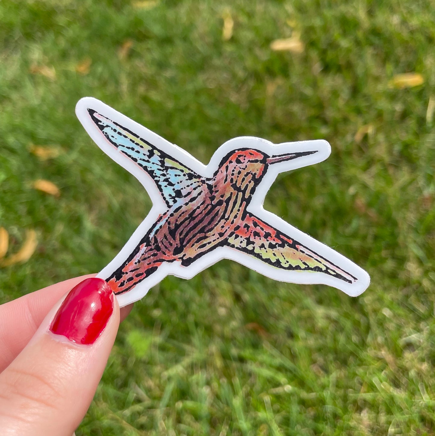 Hummingbird Vinyl Sticker