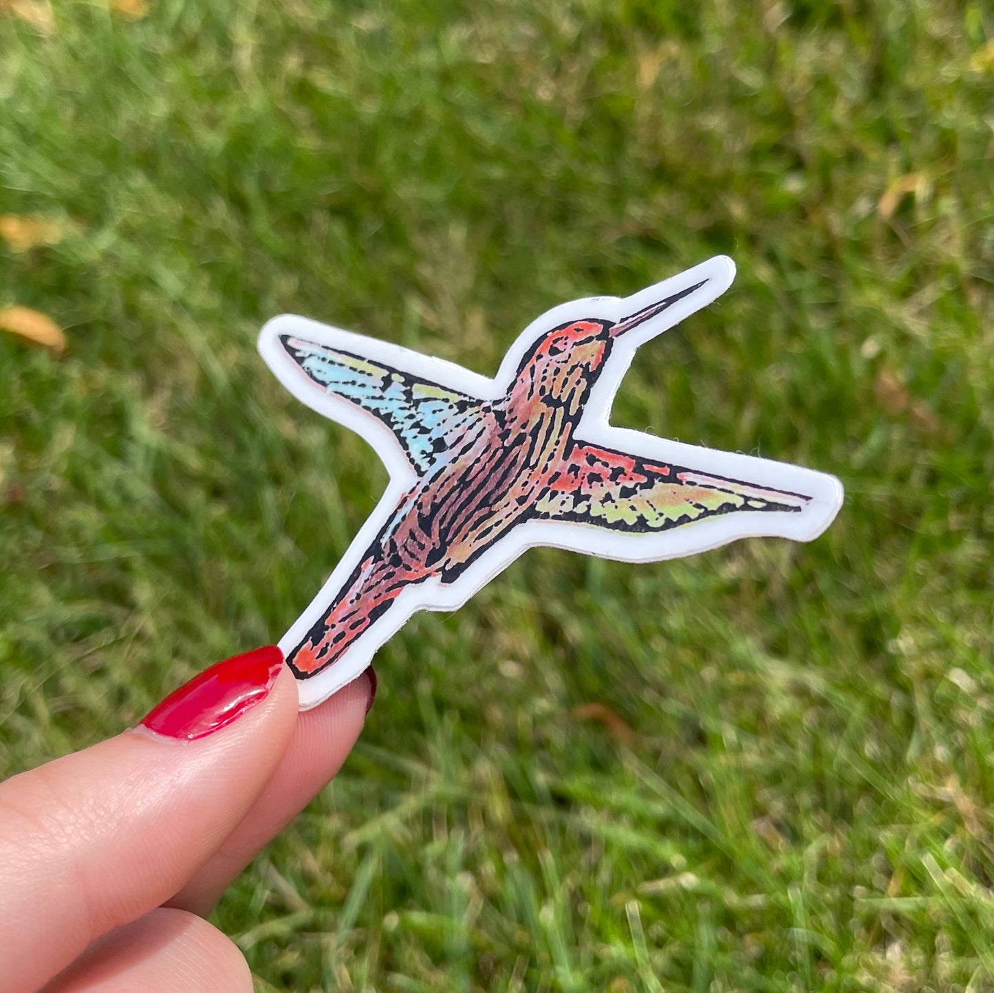 Hummingbird Vinyl Sticker