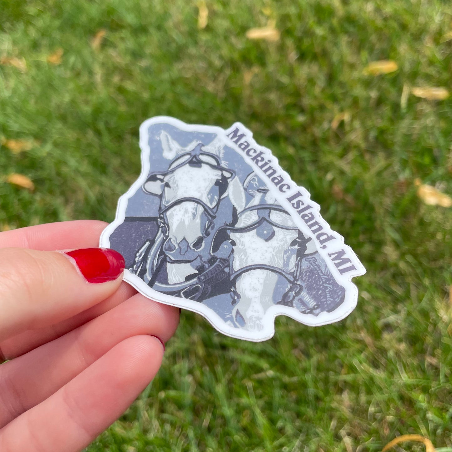 Mackinac Island Horse Team Vinyl Sticker
