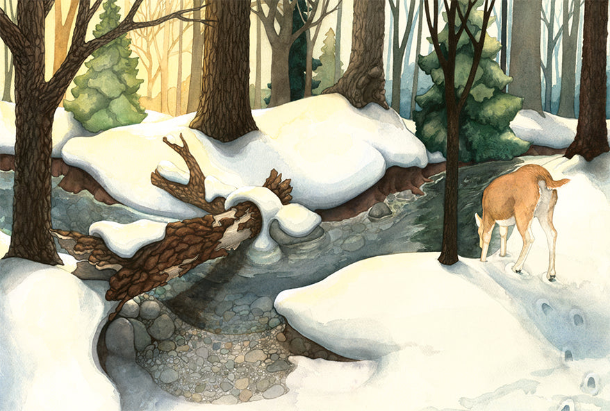 Stillness.  Signed fine art print on archival watercolor paper.  The original watercolor painting by created by Jessica Waterstadt of Farmington, Mich., for the children's picture book, The Acorn & the Oak.