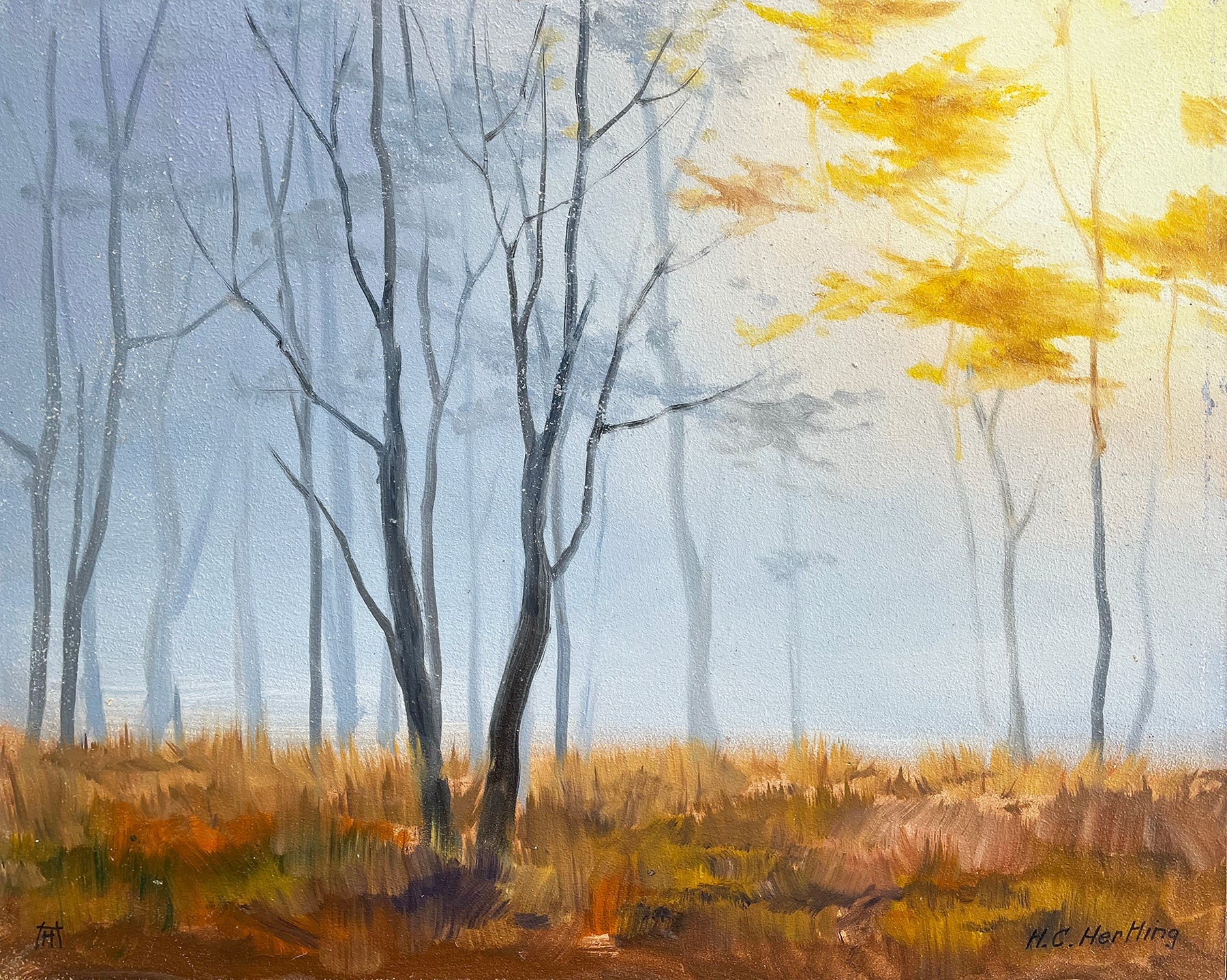 Sunset Silhouette.   This original artwork is part of Heiner Hertling's Kensington Metro Park plein air oil painting series.