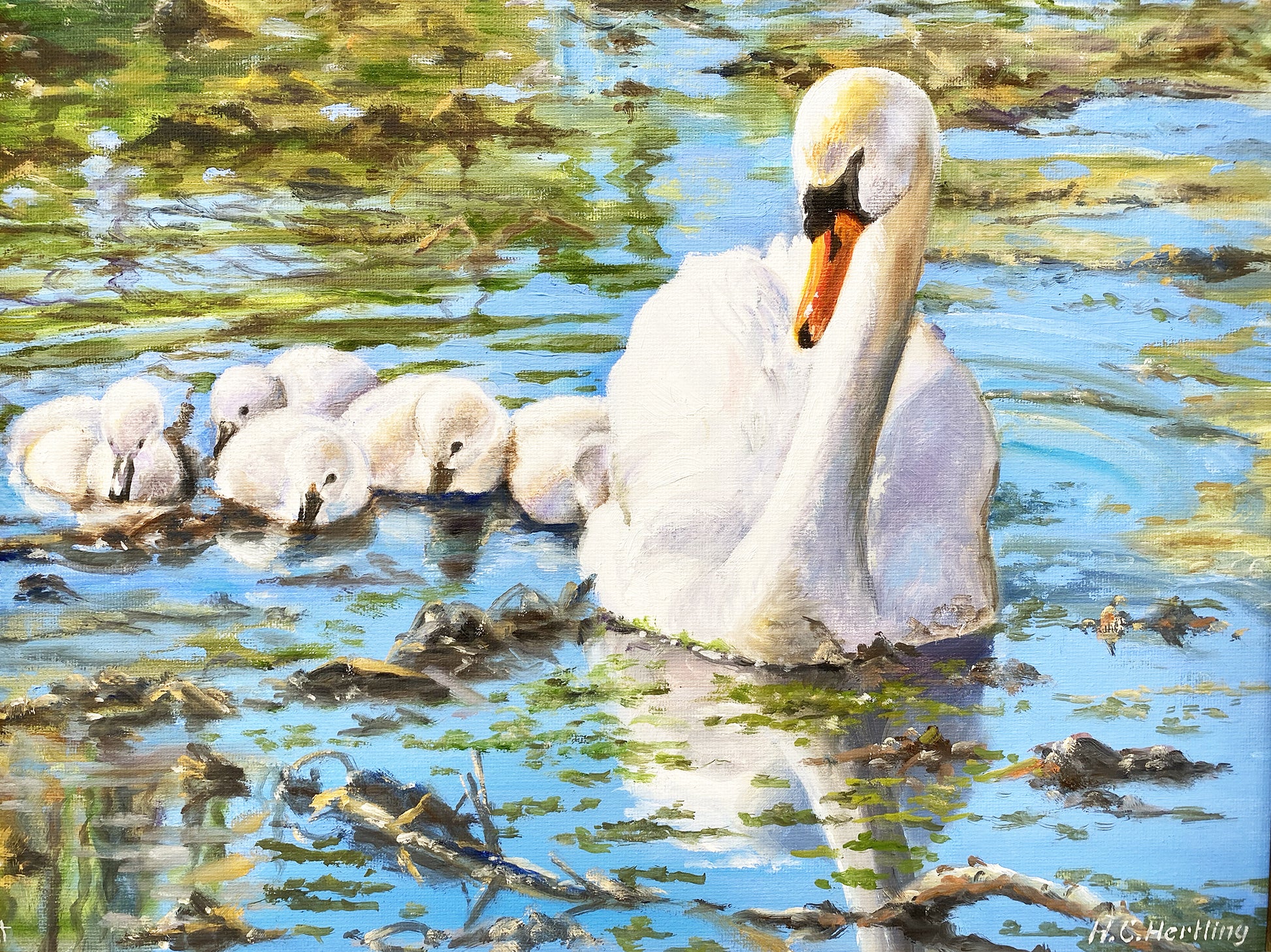 Swan Family. Oil on board.  18" x 15" Studio painting by Heiner Hertling.