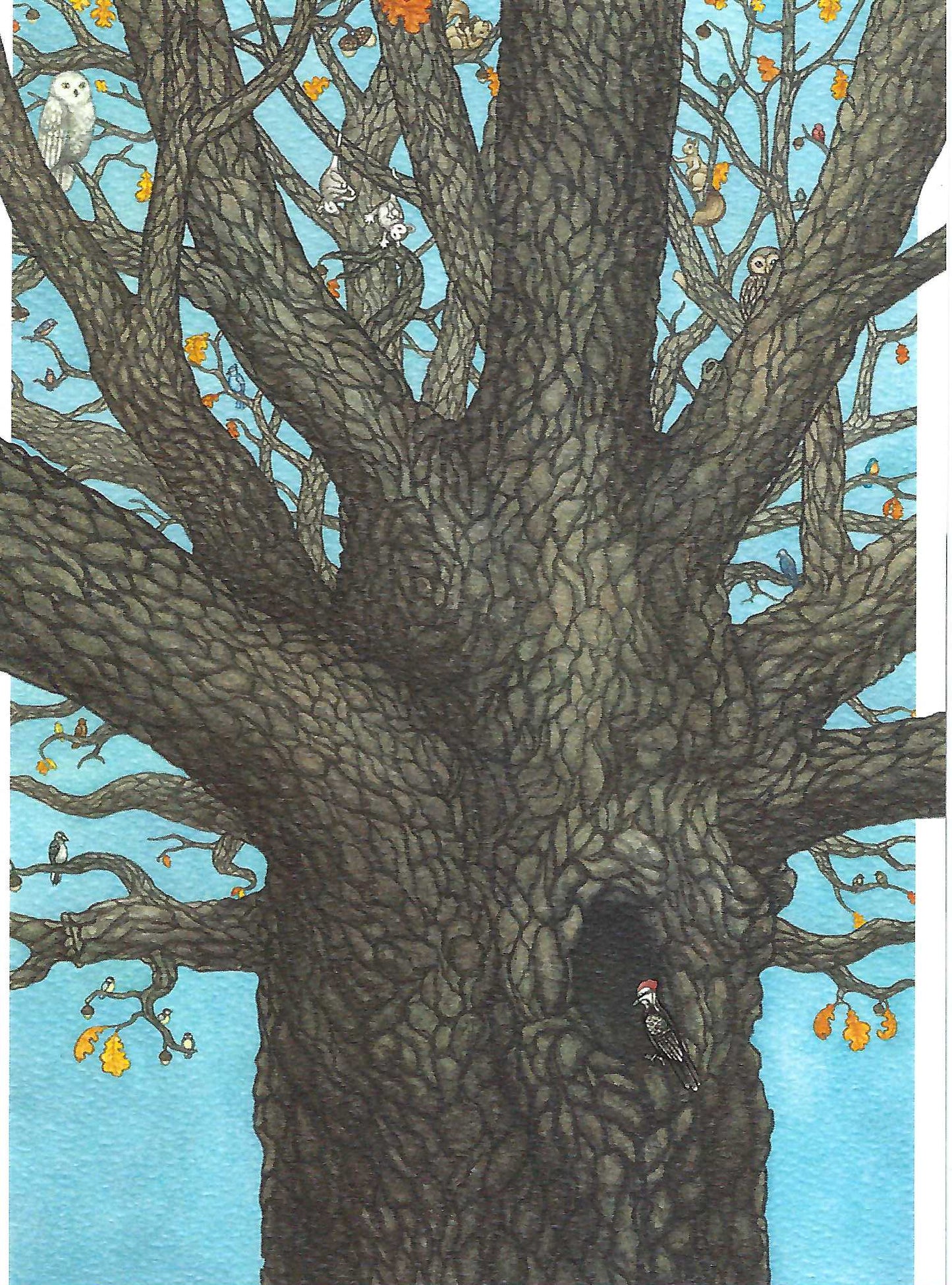 A casually elegant greeting card designed to be shared or displayed as a work of art.    Description  A whimsical watercolor illustration by Jessica Waterstradt from the book, "The Acorn and the Oak."  A complementary illustration is featured on the inside.