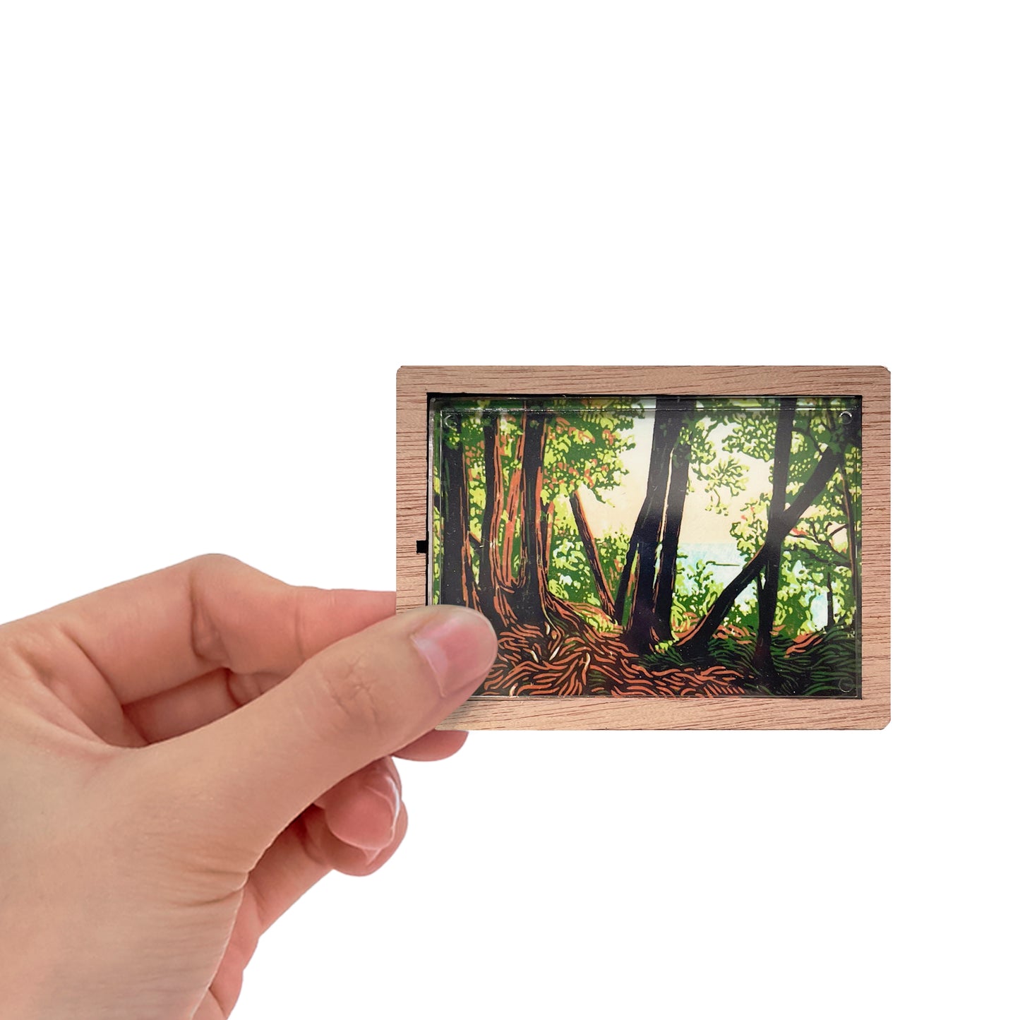 Trail Lookout Magnet