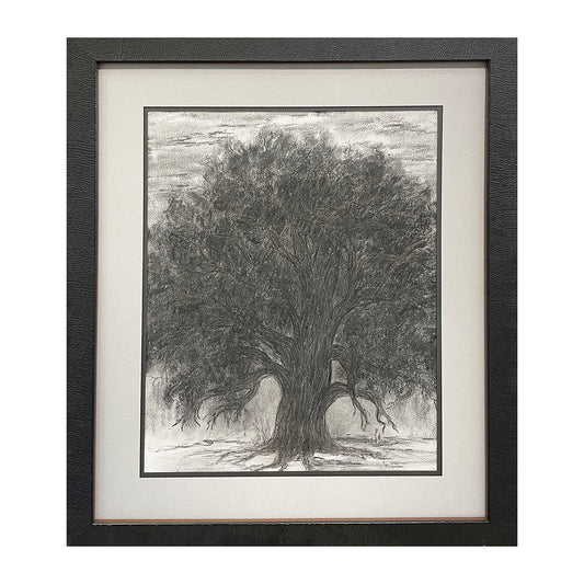 Old Soul #2- Original charcoal of a tree by Sue Gilbert.