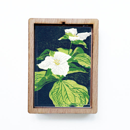 Trillium Magnet