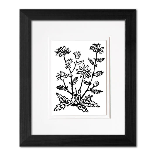 Oxeye Daisies Wildflower Original Block Print
