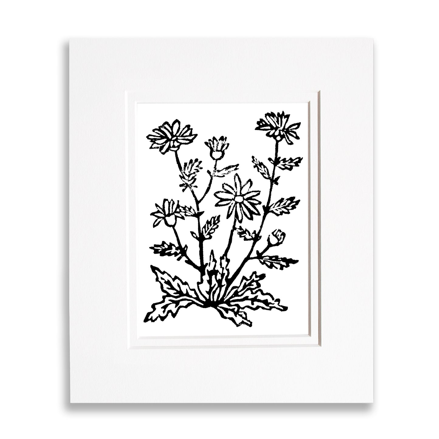 Oxeye Daisies Wildflower Original Block Print