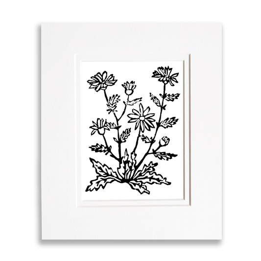 Oxeye Daisies Wildflower Original Block Print
