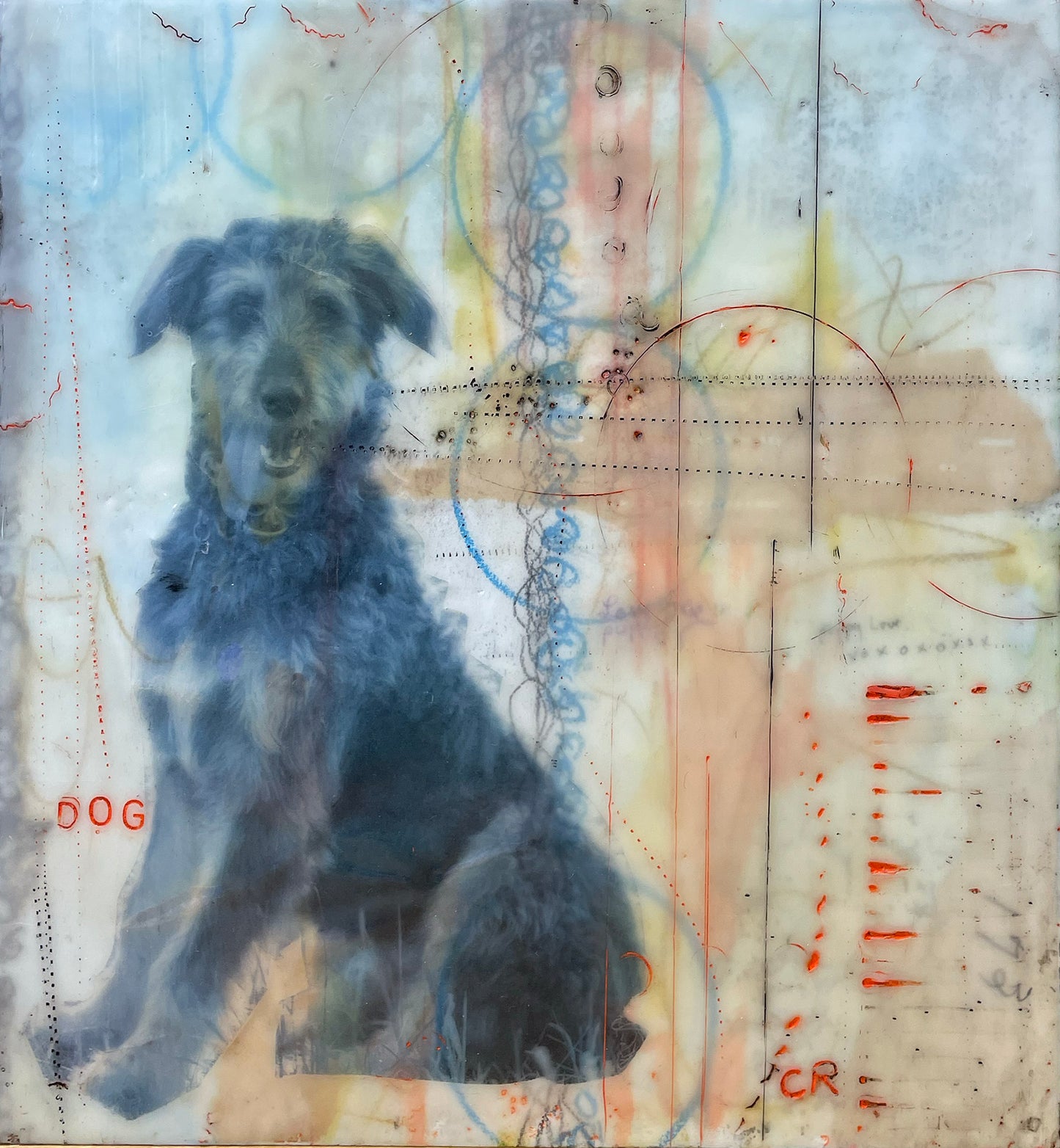 Encaustic mixed media original art by Michigan artist Cindy Rashid featuring a wolf hound.