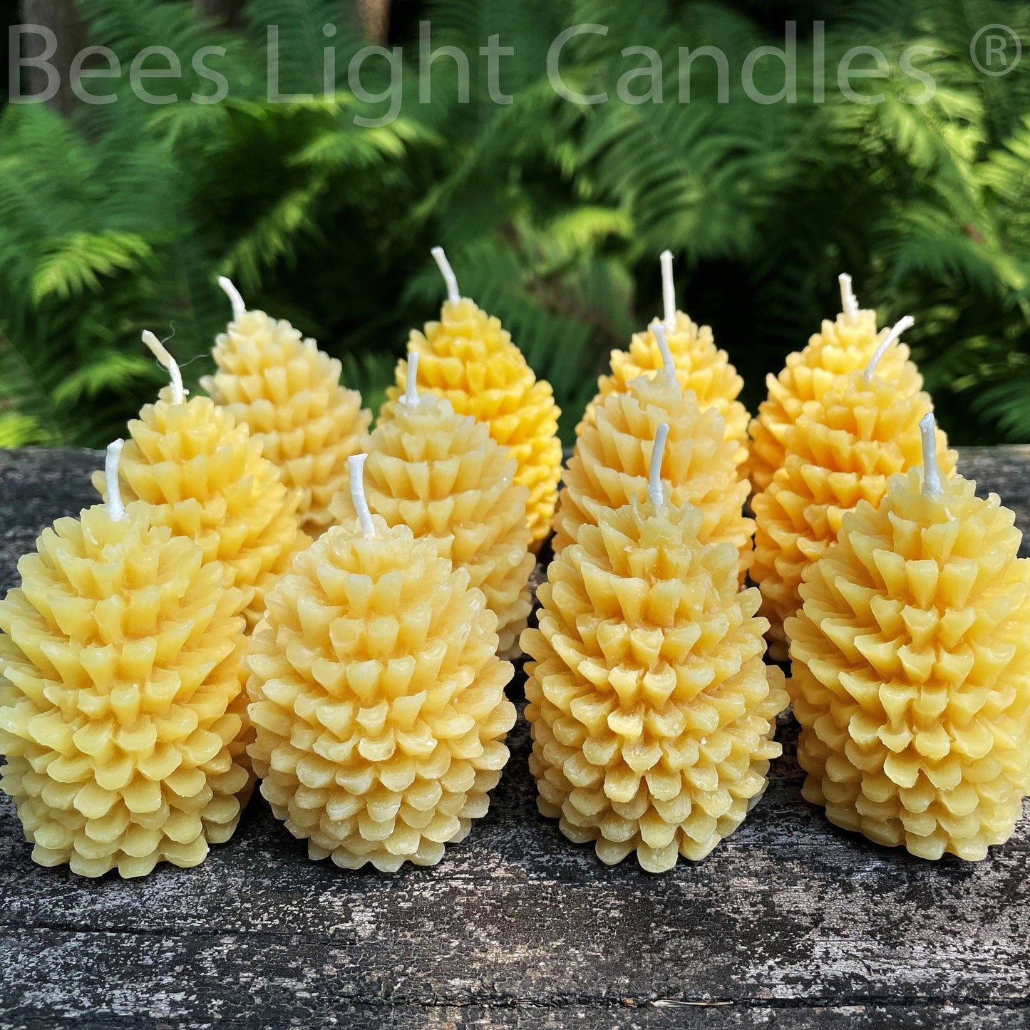 Pinecone Beeswax Candle Pair