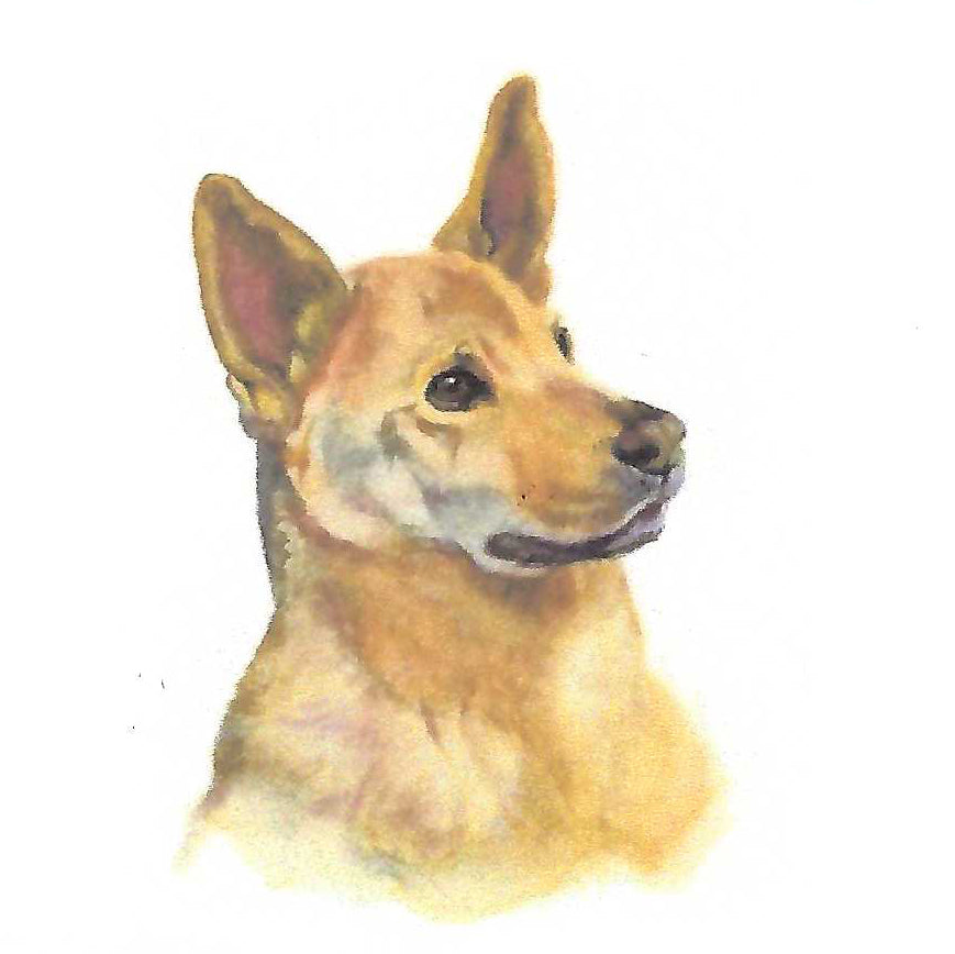 Commission a portrait of your beloved dog by Morgan Bullard, a graduate of Detroit's acclaimed Center for Creative Studies.