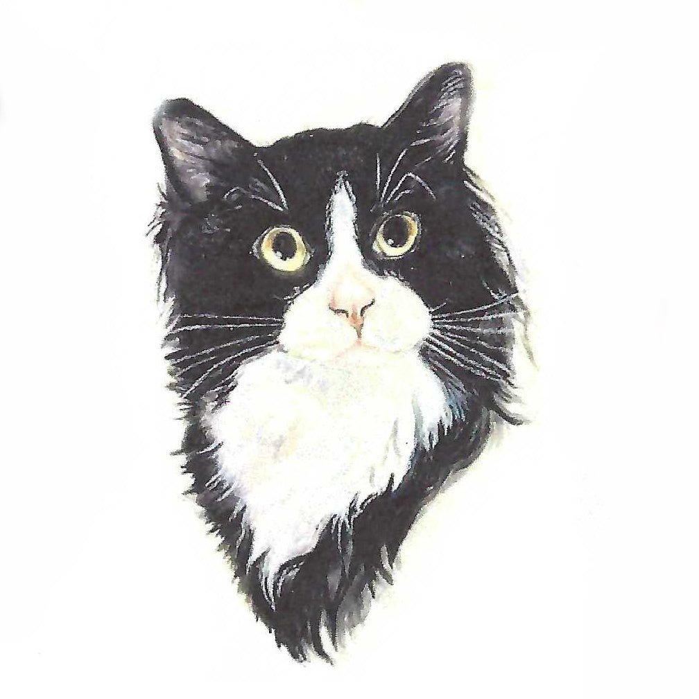 Commission a portrait of your cat by Morgan Bullard, a graduate of Detroit's acclaimed Center for Creative Studies.