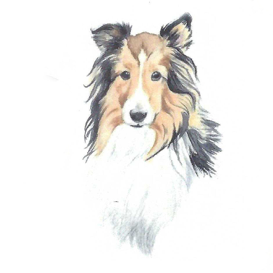 Commission a pet portrait by Morgan Bullard, a graduate of Detroit's acclaimed Center for Creative Studies.