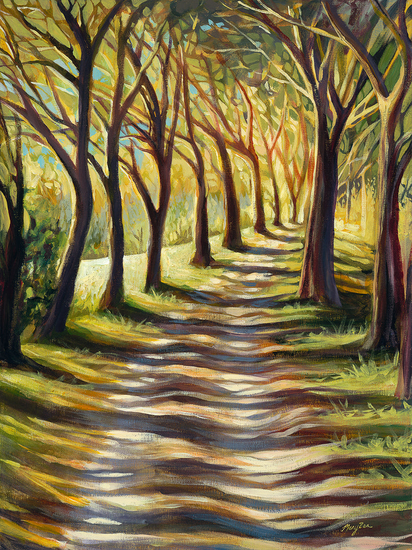 Sunlit Trail Fine Art Print by Mary Bea McWatters.  
