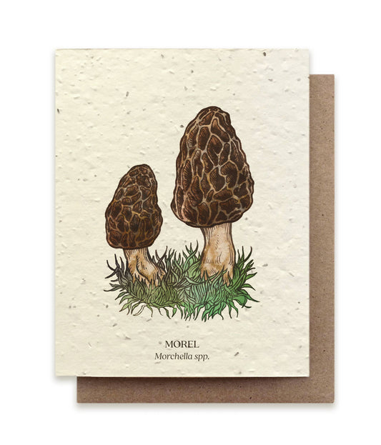 Morel Mushroom Plantable Wildflower Seed Card