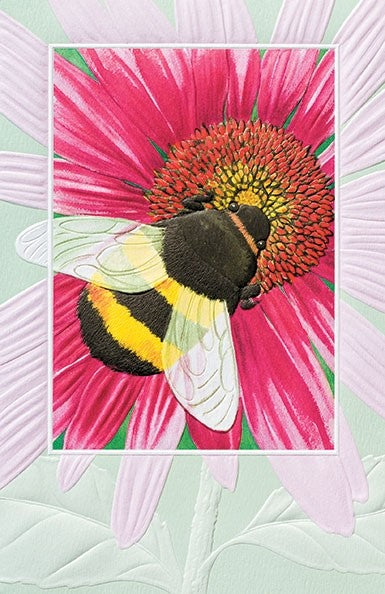 Bumble Bee is a thank you card featuring wildlife artwork by David Sands. Pumpernickel Press. Made in USA. Includes 1 card and 1 envelope. 8-1/4" x 5-3/8"