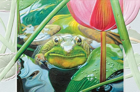 Hop Into Summer is a get well card featuring frog and water lily artwork by Penny Hauffe. Pumpernickel Press. Made in USA. Includes 1 card and 1 envelope. 8-1/4" x 5-3/8"