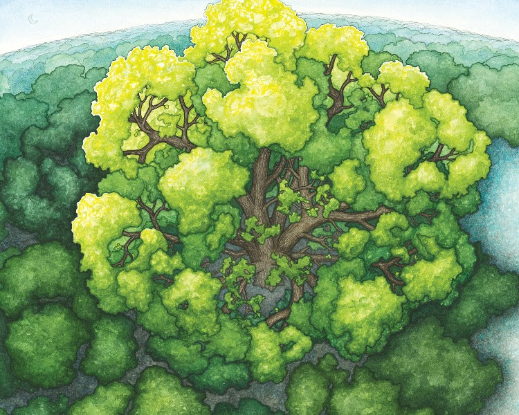 The Tree Loved Life –  fine art print