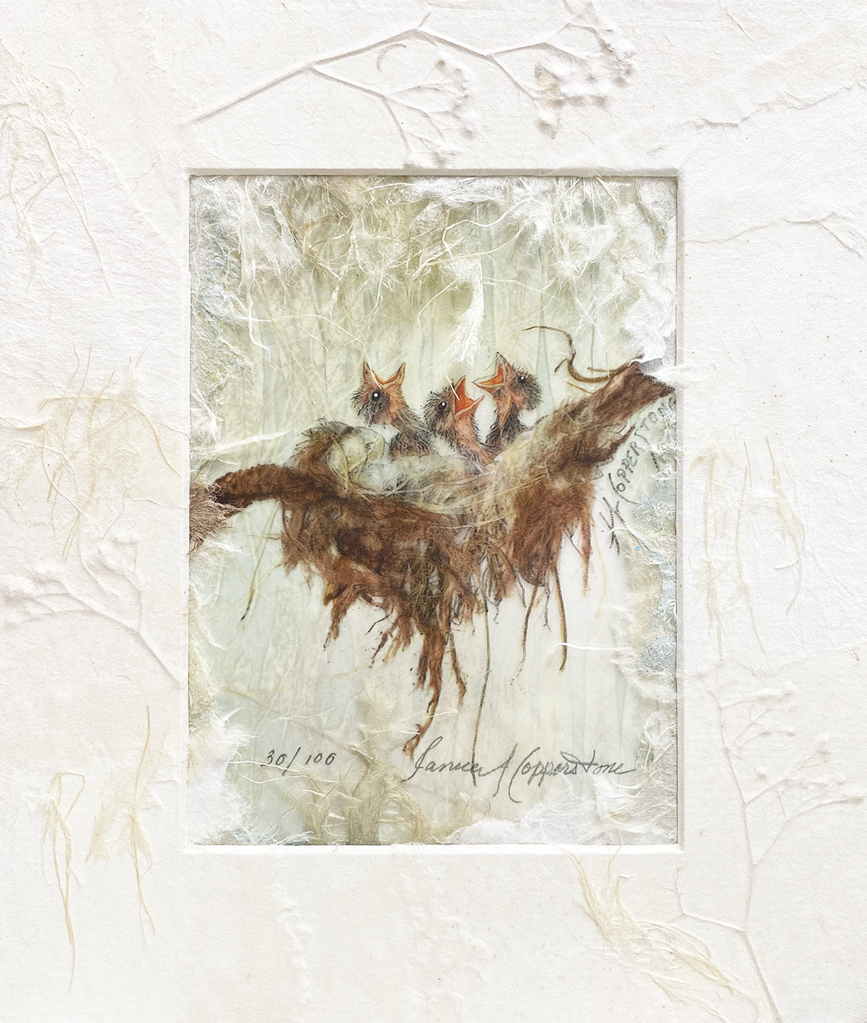 Baby birds mixed media fine art print by Janice A. Copperstone of Milford, Mich.