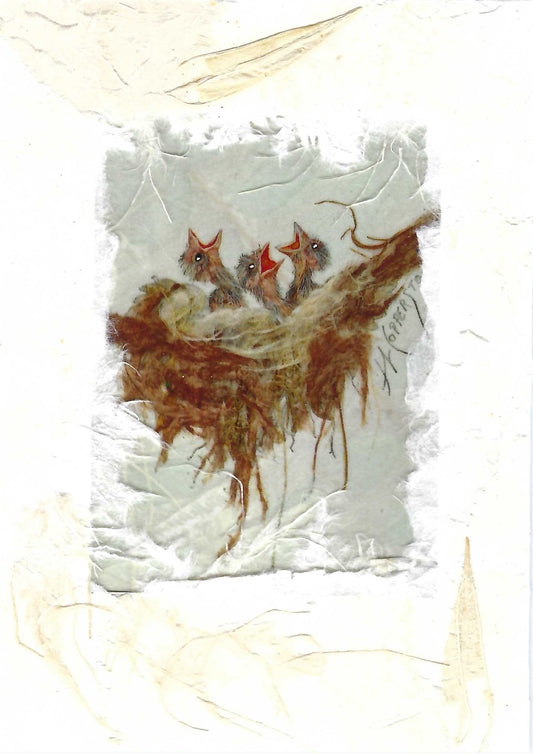 Baby Birds blank greeting card by Janice A. Copperstone of Milford, Mich. 