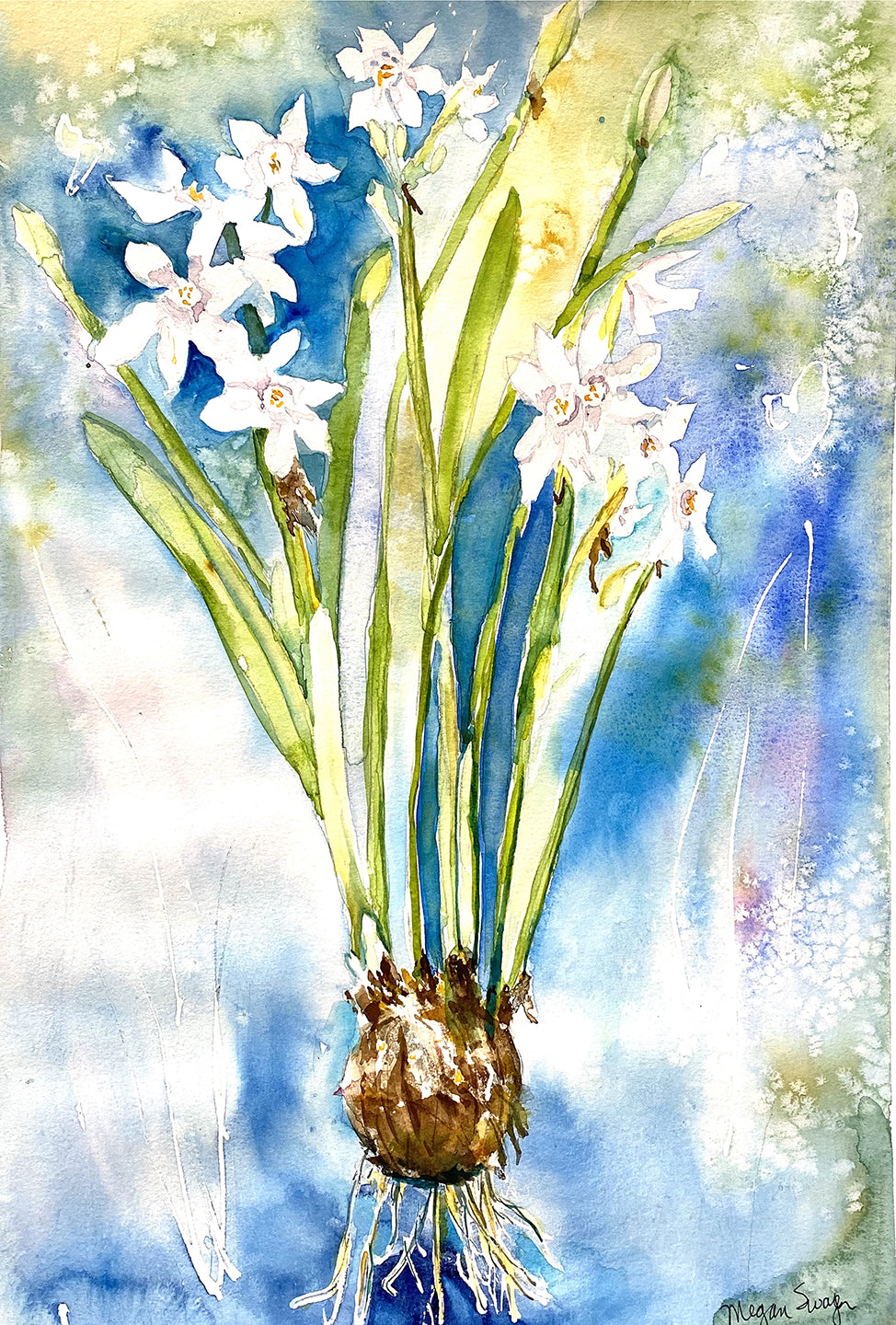 Paperwhites Showing Bulb - Watercolor