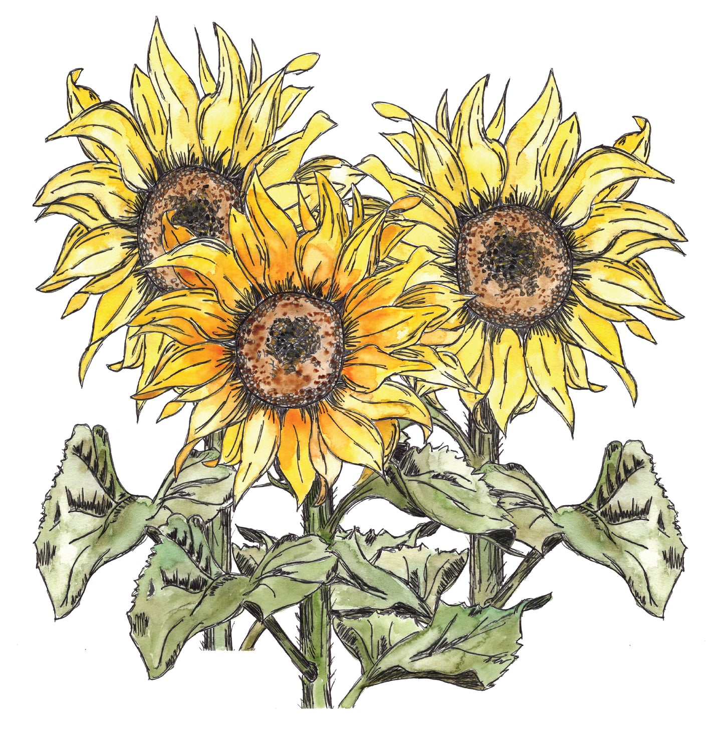 Big Sunflowers- Art Print