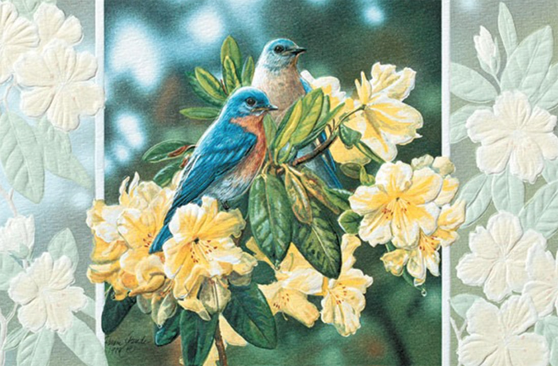 Bluebirds in Rhododendron – An embossed get well soon card by Pumpernickel Press. 