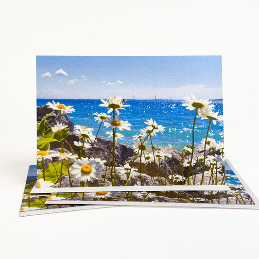 Blank greeting card featuring a photograph of daisies on the shoreline of Mackinac Island with the Mighty Mac on the horizon by local artist Jennifer Wohletz of Mackinac Memories. 