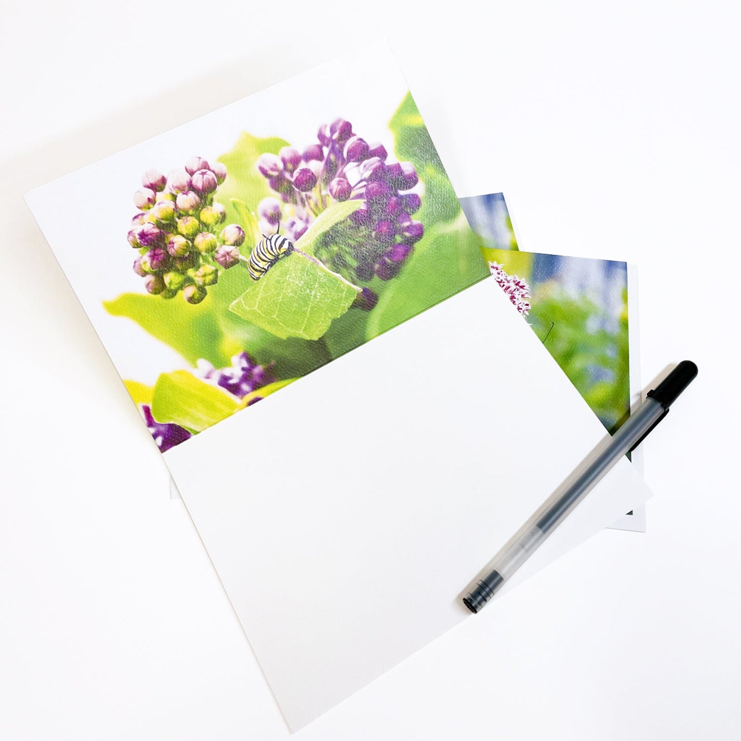 A casually elegant greeting card designed to be shared or displayed as a work of art. Featuring photographs of a monarch butterfly, caterpillar and milkweed.