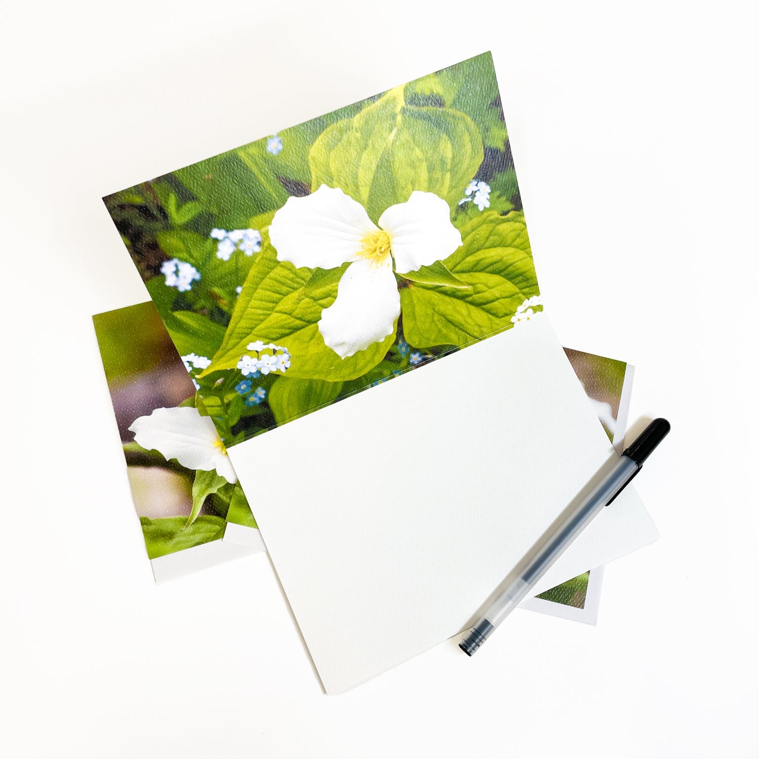 Blank greeting card featuring a photograph of trillium, a Michigan wildflower, by Mackinac Island artist Jennifer Wohletz of Mackinac Memories.   Suitable for framing.