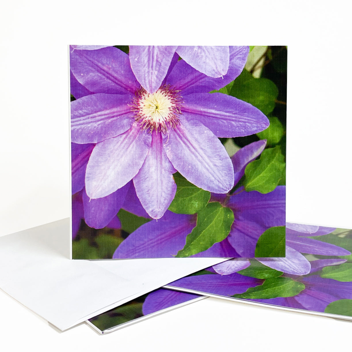 This purple clematis flower cleverly climbing on a garden trellis has the star power to stop passersby in their tracks.  Open the casually elegant card to discover more of the flowers blooming brightly on Mackinac Island.  Clematis symbolize mental beauty. Photography by Jennifer Wohletz.  The card is meant to be shared or displayed as a work of art.