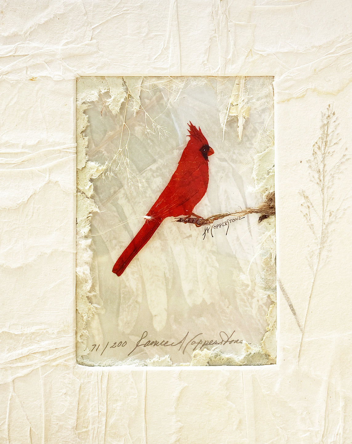 Cardinal mixed media fine art print by Janice A. Copperstone of Milford, Mich.