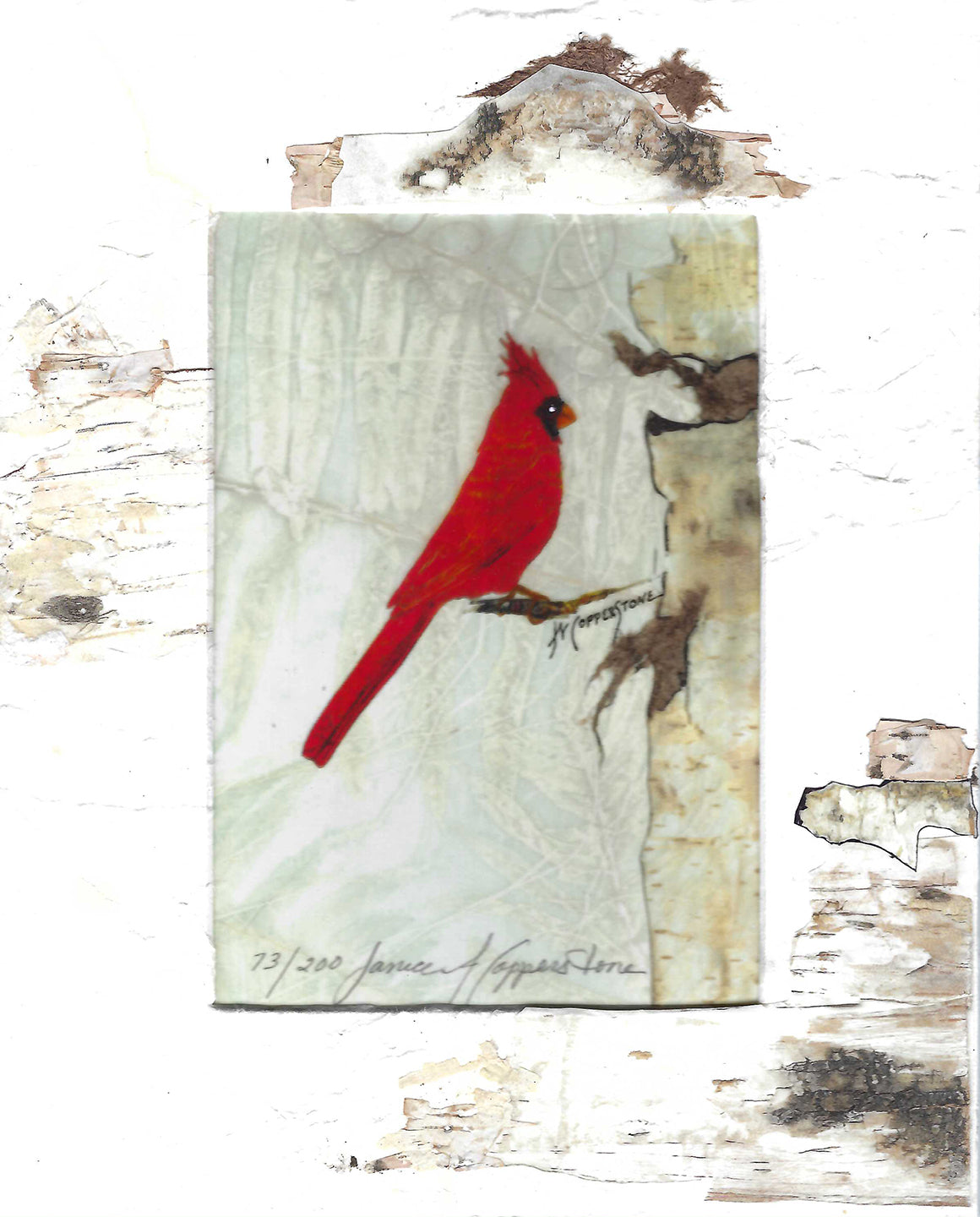 Cardinal by Janice A. Copperstone