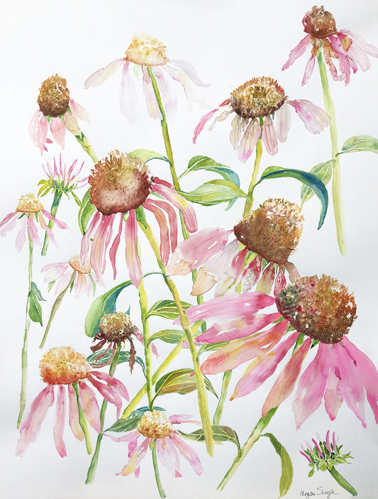 Coneflowers for Days - Watercolor