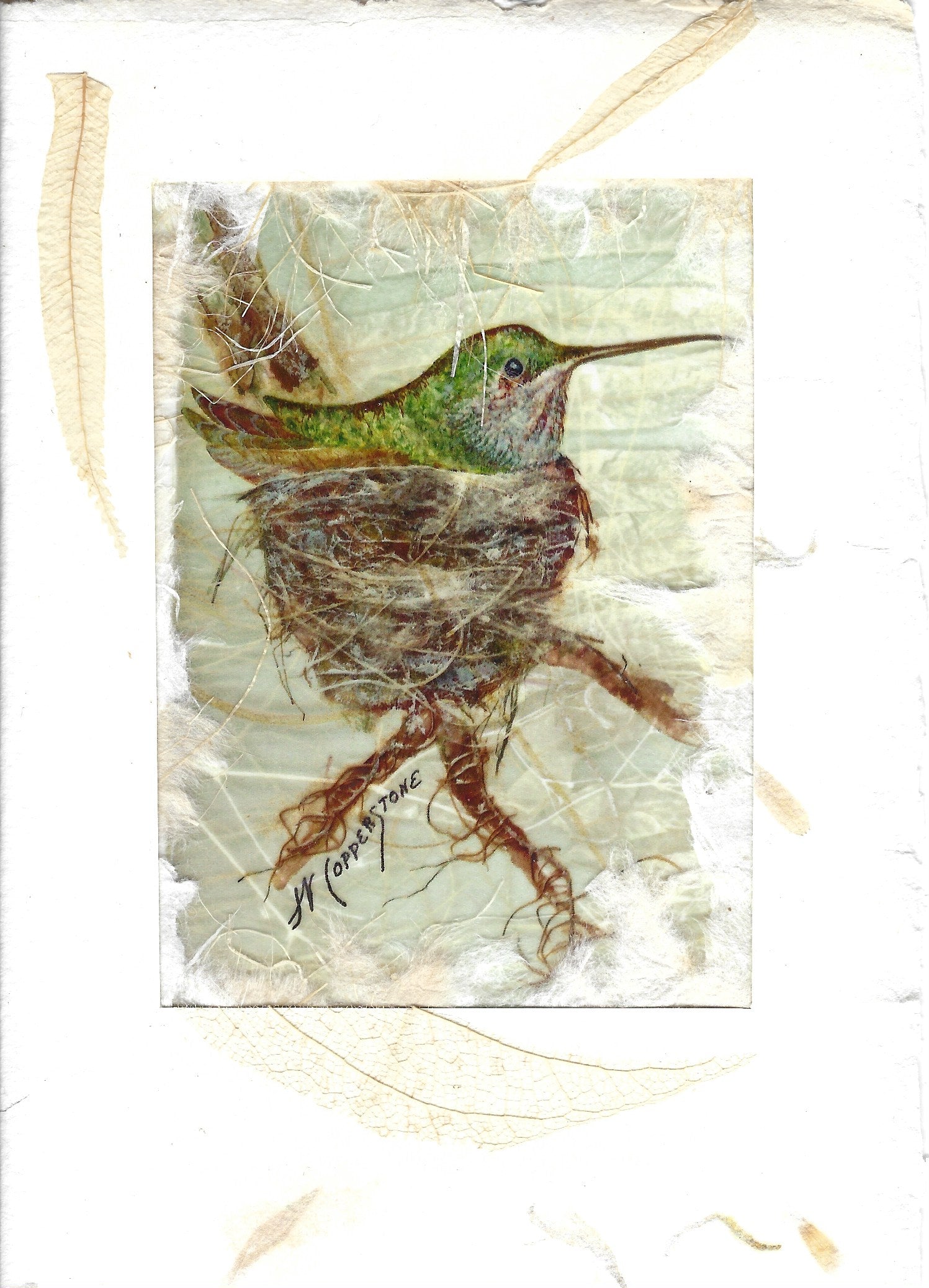 Hummingbird (Costa) in nest mixed media fine art print by Janice A. Copperstone of Milford, Mich.  